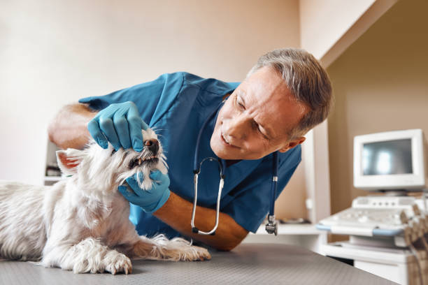 Best Emergency Dentist for Special Needs Patients in Brodhead, KY